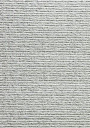 Acquerello Blanco 100 g/m² Pliego | Papel Texturado 72×101