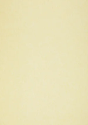 Pergamino Natural 90g 70x100