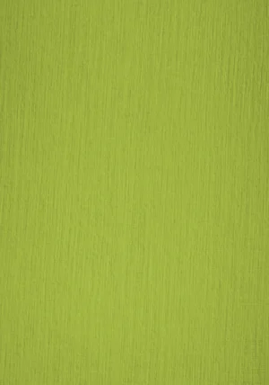 Sirio Color E - Lime, 290g, Pliego 70x100