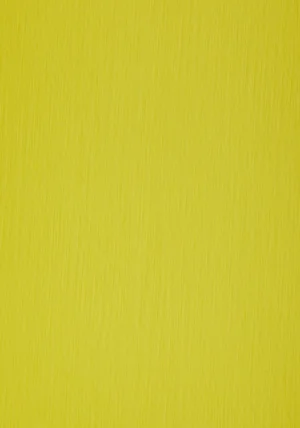 Sirio Color E Limone 290g Pliego 70×100