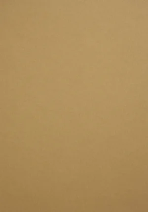 Sirio Color - Bruno, 80g, Pliego 70x100