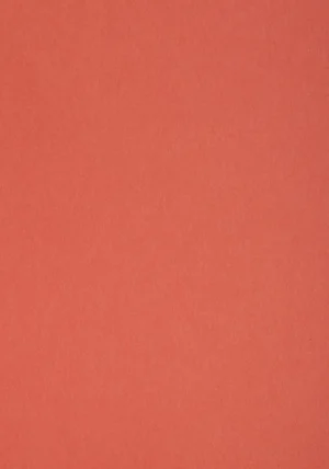 Sirio Color - Flamingo, 170g, Pliego 70x100
