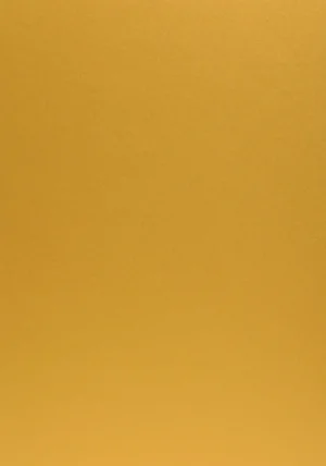 Sirio Pearl - Aurum, 300g, Pliego 72x102