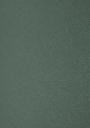 Sirio Pearl - Sage, 125g, Pliego 72x102