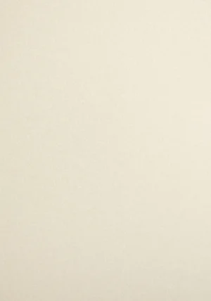 Sirio Pearl - Oyster Shell, 230g, pl 72x102
