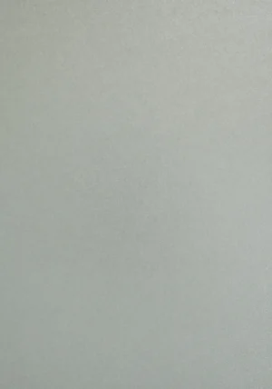 Sirio Pearl - Platinum, 300g, Pliego 72x102
