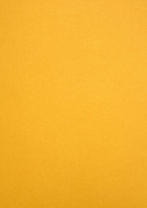 Sirio Color - Gialloro, 80g, Pliego 70x100