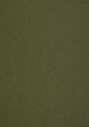 Papel Tintoretto Ceylon Wasabi de Fedrigoni - Papeles Omega