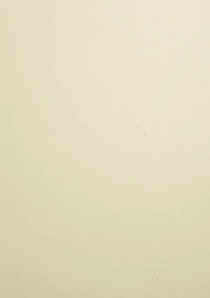 Woodstock - Betulla, 80g, Pliego 70x100