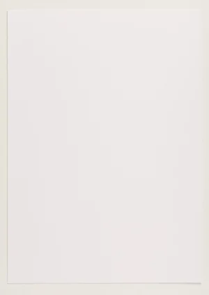 Woodstock - Bianco, 80g, Pliego 70x100