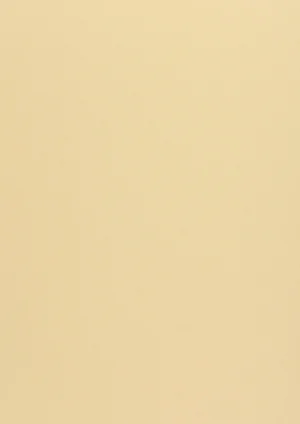 Woodstock - Camoscio, 260g, Pliego 70x100