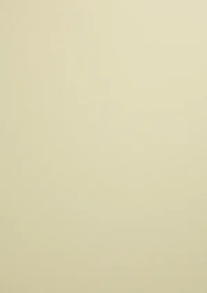 Woodstock- Grigio 110g 70x100