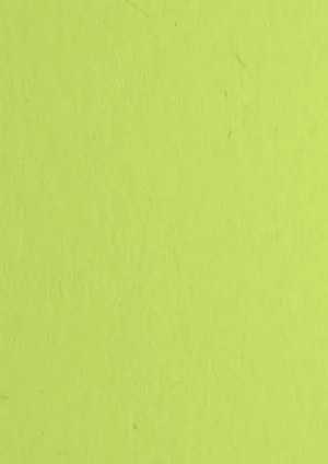 Woodstock - Pistacchio, 80g, Pliego 70x100