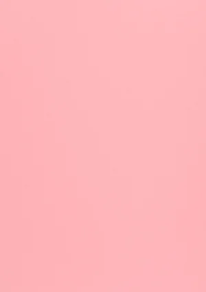 Woodstock - Rosa, 80g, Pliego 70x100