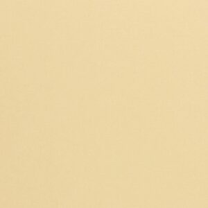 Woodstock - Camoscio, 260g, Pliego 70x100