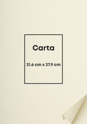 Bond Ahuesado - 80 g/m2, resma carta 250 h