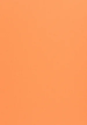 Woodstock Arancio 170 g/m² Pliego | Papel Reciclado 70×100